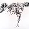 This guide shows all dinosaur bones in rdr2. 1