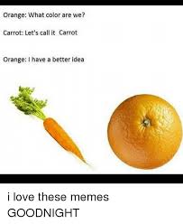 Check spelling or type a new query. Orange What Color Are We Carrot Let S Call It Carrot Orange I Have A Better Idea I Love These Memes Goodnight Love Meme On Me Me