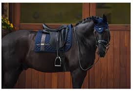 Tapis Dressage Royal Classic Equestrian Stockholm Equestrianfashionridingclothes Horses Equestrian Dressage Equestrian