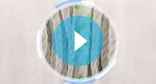 Asheville house cleaning usa service king spotless carpet cleaning chesney cleaning nice & fresh cleaners carpet cleaning service, air duct cleaning, area rug. Hendersonville Nc Zerorez Asheville