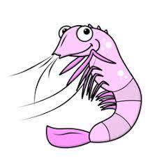 In this video i'll show you learn how to draw shrimp in one line easy step by step for kids | continuous line drawing tutorial. How To Draw A Cartoon Shrimp How To Draw Cartoons