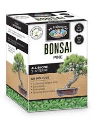 Bonsai starter kits from amazon. Pine Bonsai Starter Kit Mr Fothergills Seeds