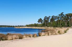 De provincie stelt regels op voor een duurzame brabantse waterhuishouding. Het Groene Woud In Brabant Tips Voor Een Dagje Uit Reisreport