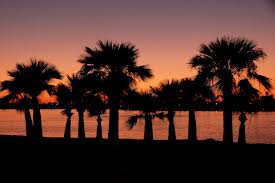 In california, the homeowner may choose. Chapter 7 Bankruptcy In California Exemptions And Court Locations National Bankruptcy Forum