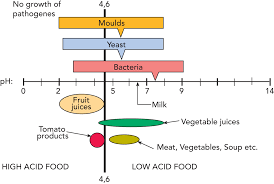 microbiology dairy processing handbook