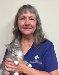 Support Staff in Ozark, MO