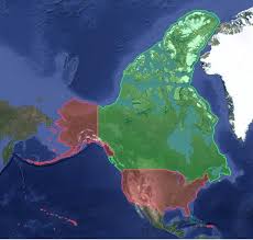 I am from alberta canada. Size Explorer Compare The World