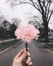 Kumpulan gambar tentang foto bunga aesthetic, klik untuk melihat koleksi gambar lain di kibrispdr.org. Wallpaper Bunga Vintage 1080x1347 Download Hd Wallpaper Wallpapertip