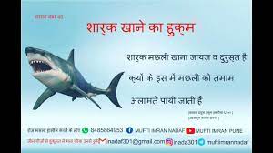 They are available in the form of lollipops, gumdrops, smaller lozenges, and even shapes specific to a season or festival.halal gummy sharks are considered the perfect gift for anyone with a sweet tooth. Shark Khane Ka Hukm Youtube