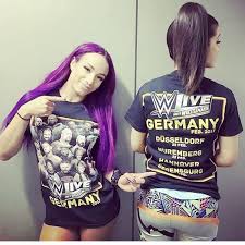 Pin By Antonio Osso On Wwe Sasha Banks Wwe Divas Paige Wwe Divas Bikini Wwe Girls
