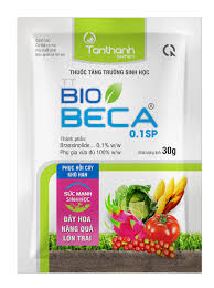 TT-biobeca 0.1SP