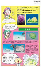 ボード 子ども 勉強 教育 のピン