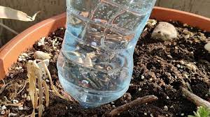 L'arrosage goutte à goutte est le plus souvent couplé avec un programmateur 1 voie (à sortie d'eau. Fabriquer Un Arrosage Goutte A Goutte A Petit Prix 6 Idees Recup