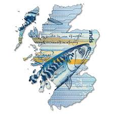 5 Pounds Sterling Note Issued By Royal Bank Of Scotland Obverse In Shape Of Scot Ad Note Issued Pounds Sterling Ro With Images Royal Bank Pound Sterling Royal