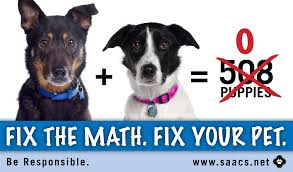 Spay Neuter Services