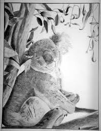 Just Another One Of My Animals That I Drew This Is The First Time That I Actually Took The Picture Tho Realistic Animal Drawings Animal Drawings Koala Drawing