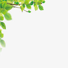 As Folhas As Folhas Moldura Flor Videira Imagem Png E Psd Para Download Gratuito Leaf Background Powerpoint Background Design Leaf Border