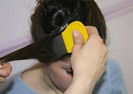 Selain itu memiliki kutu juga bisa mengakibatkan rambut kita cepat kotor dan bau. Bagaimana Untuk Menghilangkan Kutu Dan Nits Di Rumah Dan Membawa Mereka Selama Lamanya