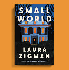 Review: 'Small World,' by Laura Zigman - The New York Times