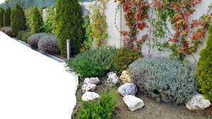 Maybe you would like to learn more about one of these? Razones Para Estudiar Sobre Jardines Formacion De Ingenieros