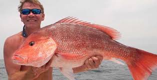 Panama City Fishing Spots Gps Coordinates Bay County