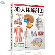Human body internal parts such as the lungs, heart, and brain, are enclosed within the skeletal system and are housed within the different internal body cavities. 3d Human Anatomy Book Body Muscle Anatomy And Physiology With Picture Aliexpress