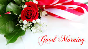 Good Morning Wallpaper With Flowers Full Hd 1920x1080 Gm Images December 29, 2019 8:11:16 am. good morning wallpaper with flowers