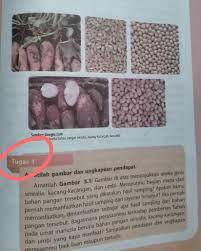 Check spelling or type a new query. Tolong Yaa Prakarya Kelas 8 Semester 2 Halaman 135 Tugas 1 Brainly Co Id