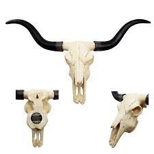 Get the latest in bull head decor. Wholesale Wall Decor Resin Bull Heads Longhorn Cow Skull Head Buy Resin Animal Heads Cow Skulls Resin Animal Heads Wall Decor Resin Animal Heads Product On Alibaba Com