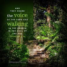 And They Heard The Voice Of The Lord God Walking In The Garden In The Cool Of The Day Genesis 3 8 Scripture Pictures Scripture Pictures Genesis Bible Words