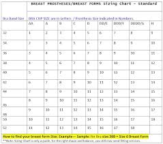 breast form size guide breast prosthesis versus mastectomy