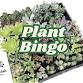 Plant Bingo