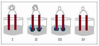 Tujuan  menguji daya hantar listrik berbagai larutan dengan alat uji elektrolit  membedakan larutan elektrolit dengan larutan non elektrolit iii. Kumpulan Soal Lengkap Kimia Bab Larutan Elektrolit Dan Non Elektrolit Kunci Jawaban Your Chemistry A