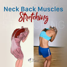 Neck Back Muscles Stretching Muscles Involved Traps Execution Take A Standing Position With Y Back Muscles Muscle Stretches Physical Rehabilitation