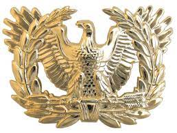 Army Warrant Officer Sta Brite Army Cap Devices Sta Brite Military Insignia Warrant Officer Army
