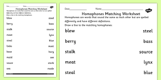 matching homophones worksheet teacher made