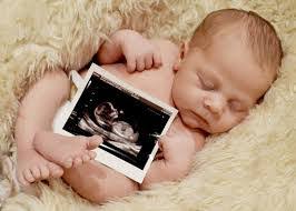 Anna Scheck's Instagram, Twitter & Facebook