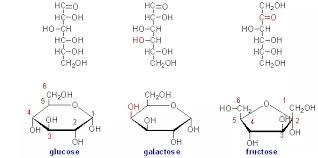 It shows how quickly each food affects the glucose (sugar) level in your blood when that food is eaten on its own. How Many Carbohydrate Molecules Are In One Gram Of Carbohydrates Quora
