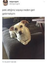 Aciklar Misiniz Neden Hayvan Viralleri Komik Hayvanlar Komik Goruntuler