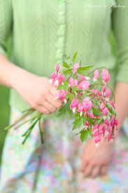 Pin By Emerald Flame Crafts On Season Spring Pink And Green Bleeding Heart Flower Quotes