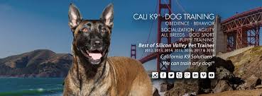 More images for puppy board and train bay area » California K9 Solutions Llc Cali K9 Linkedin