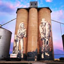 Latest Photo From Our Silos In Rosebery Kaff Eine Is Adding The Final Touches This Week Congratulations To The Entire Silo Street Art Farm Art Street Artists