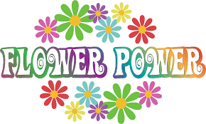 Maybe you would like to learn more about one of these? Norwood Florist Flower Delivery By Flower Power