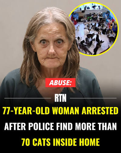 RTN: A 77-year-old former postal worker in Florida has been arrested after  authorities say they discovered more than 70 caged cats and an unknown  number of dogs inside her home 🐱 Investigators