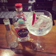 A gin and tonic is a classic cocktail known for its simplicity. Gin Opihr Gin Tasting Gin And Tonic Gin