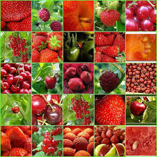 Red Green Fruits Vegetables Fruit5 Drsmoothie Green Fruits And Vegetables Fruit Power Foods