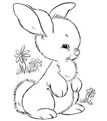Printable bunny preschool coloring page. Cute Baby Bunny Coloring Pages Coloring Home