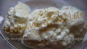 ev yogurdu yapimi yogurt yapimi nohuttan yogurt mayalama yogurt nasil yapilir yogurt nasil mayalanir evde yogurt mayalama nohut yogurt yemek