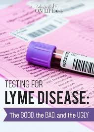 Averagely, the cost for an elisa test for lyme disease is in the vicinity of $120 or more. Testing For Lyme Disease The Good The Bad And The Ugly