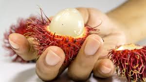 Choose a sunny spot with well drained soil. Lychee Is The New Superfood Of 2020 Rested And Rich Daily